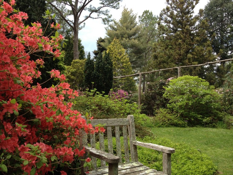 The Polly Hill Arboretum » MISSION